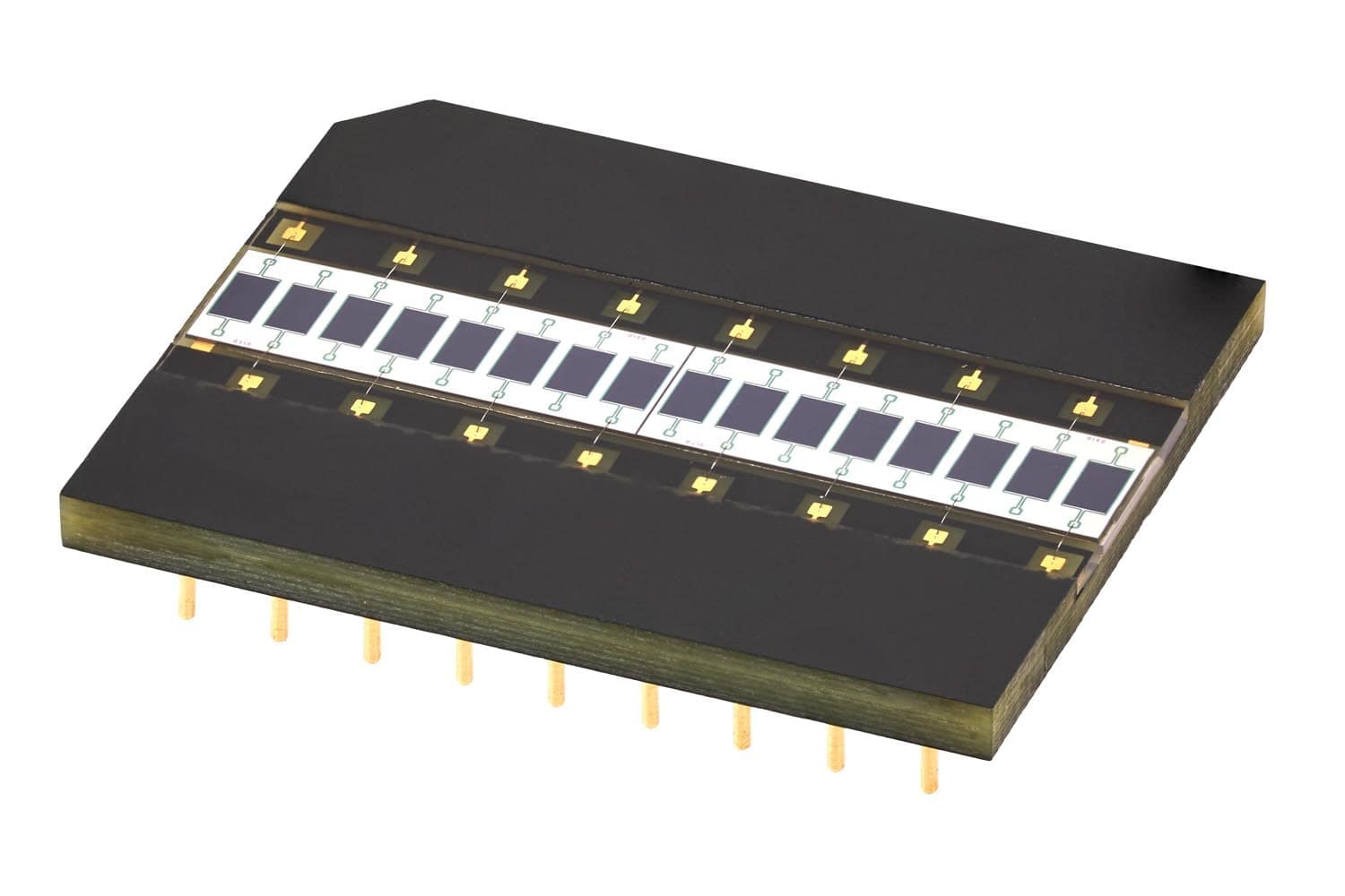 Black ceramic carrier with a row of square die and gold bond pads